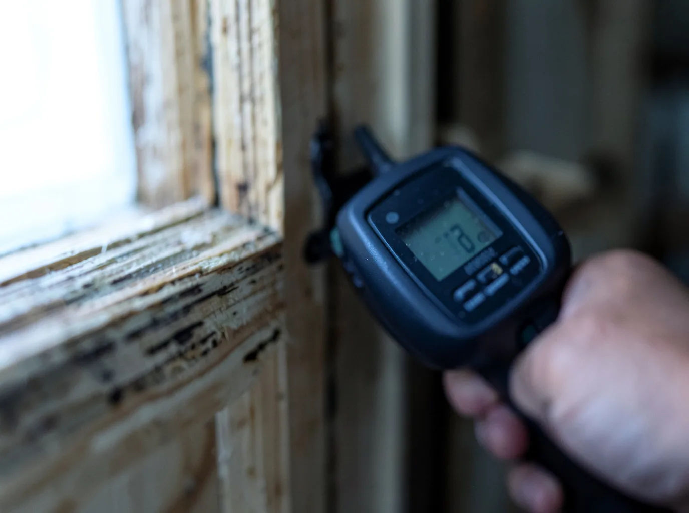 Moisture Inspection And Documentation in Richwoods, MO